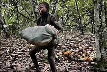 Lutte contre le travail des enfants dans la cacaoculture : La Fondation ICI honore la Première Dame